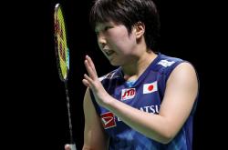 pg电子官方-印度队绝杀法国队，戴资颖点燃赛场的简单介绍