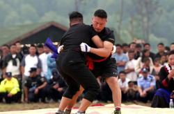 PG Soft Gaming-多个项目同台竞技，精彩纷呈