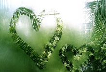 pg电子官网-匈牙利遭遇挫折，晋级形势雪上加霜