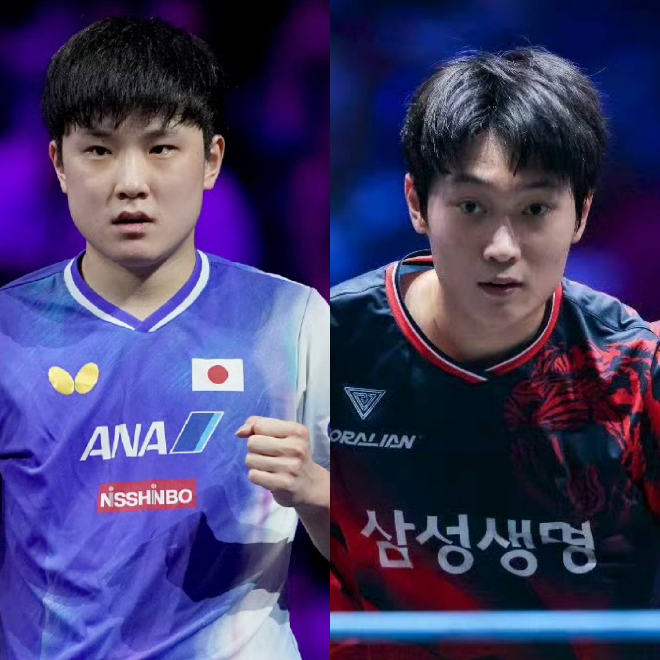 英国乒乓球队轻取波兰乒乓球队，张本智和高光表现的简单介绍