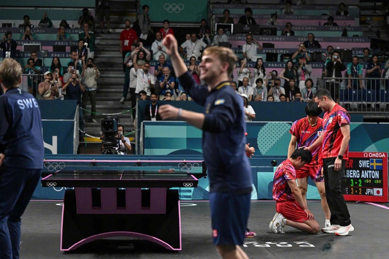 德国队翻盘法国队，张本智和刷新纪录的简单介绍